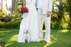Santa Barbara Inn Wedding Karen D Photorgaphy