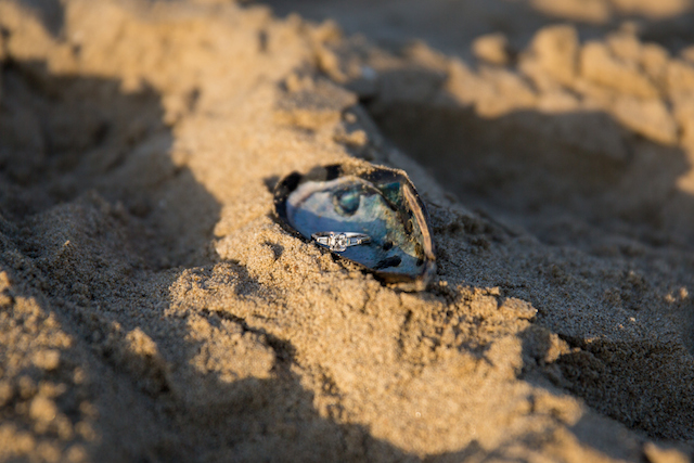 Santa Barbara Beach Photographers Karen D Photography