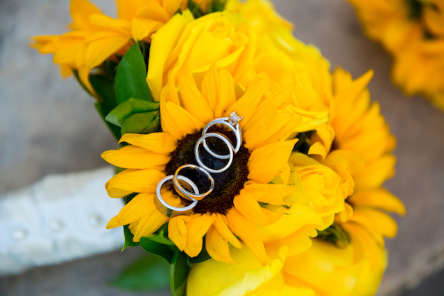 Wedding Rings Karen D Photography