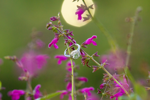 Santa Barbara Alice Keck Memorial Park Photographer Karen D Photography-14