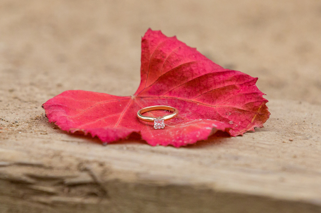 Santa Barbara City College Wedding Photographer, Karen D Photography-11