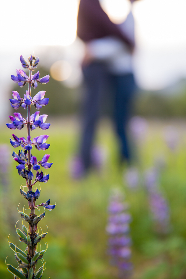 Thousand_Oaks_Engagement_Photographer