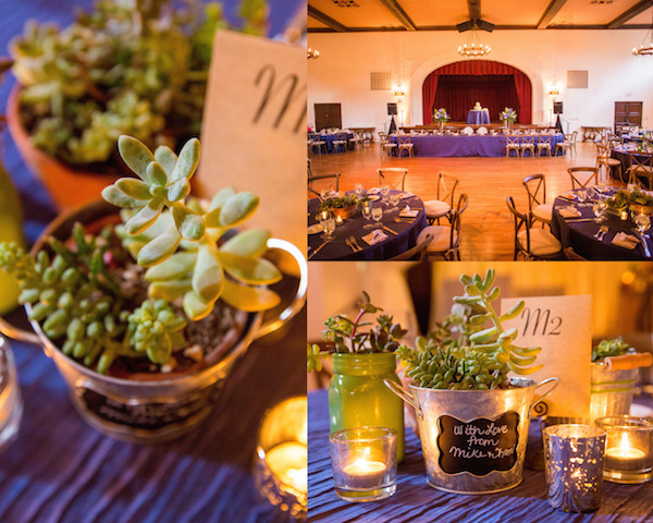 Santa_Barbara_Succulents_Wedding-3.5