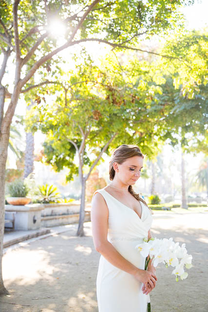 chase-palm-park-carousel-wedding-28