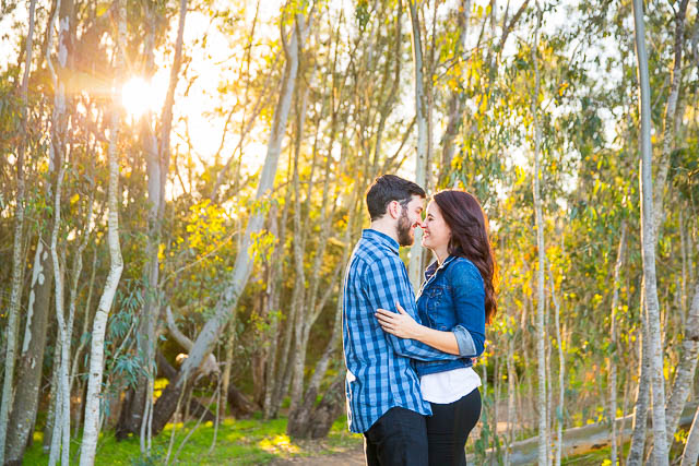 Sunset engagement photos at Coronado Butterfly Preserve