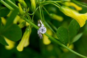 Santa Barbara engagement ring on yellow mustard plant