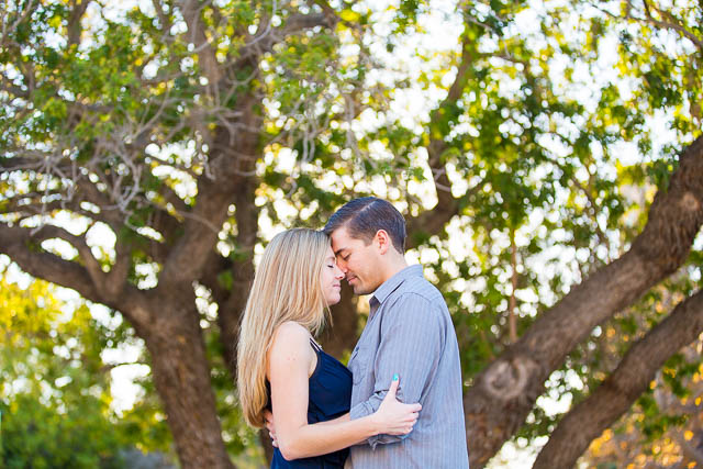 UCSB couples engagement photos with tree in the background