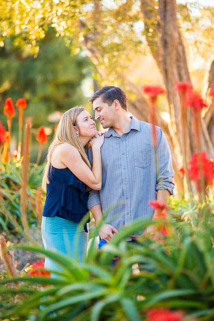 Red flowers found at UCSB for engagement photos