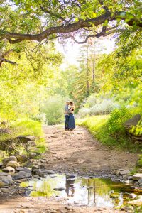 Arroyo Hondo Preserve is luscious and green.