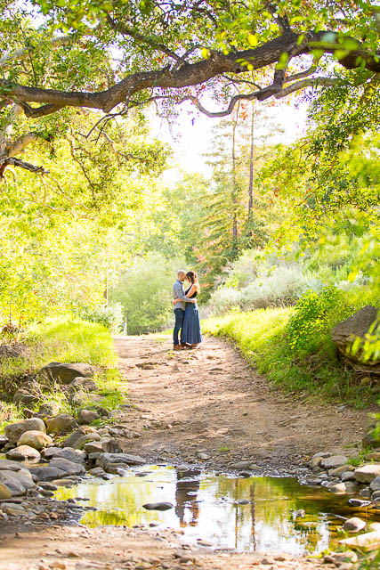 Arroyo Hondo Preserve is luscious and green.