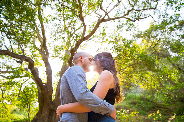 Light comes through the trees illuminating the couple in nature.