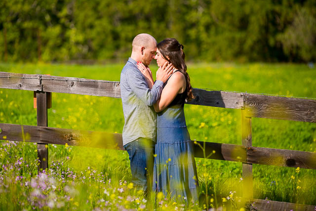 The mustard wildflowers are in full bloom as the couple embraces at Arroyo Hondo Preserve.