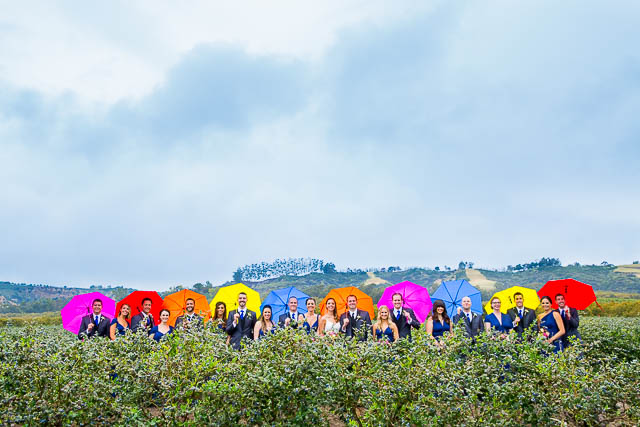 Bridal party photos at Gerry Ranch in Camarillo, California.