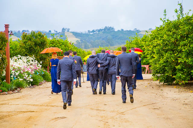 Bridal party photos at Gerry Ranch in Camarillo, California.