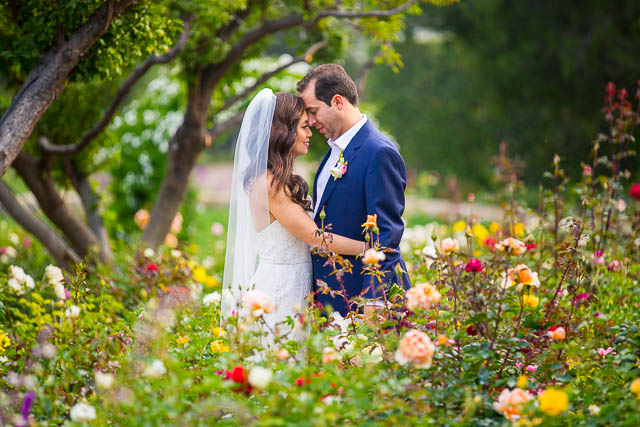 Newlyweds embracing in the rose garden at San Ysidro Ranch.