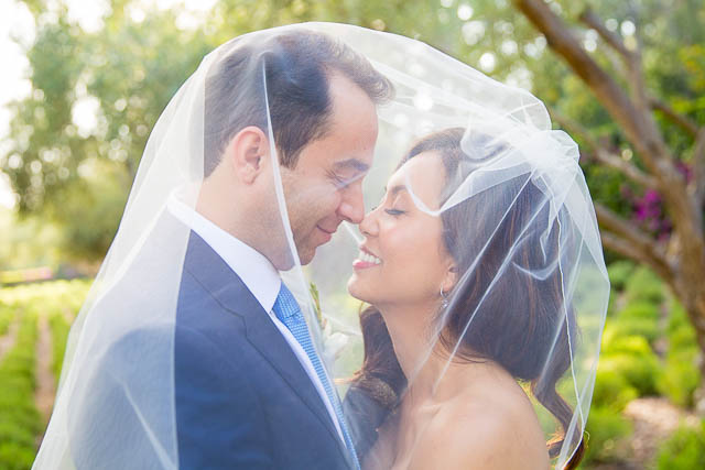 Romantic photos of the bride and groom at San Ysidro Ranch's lavender field.