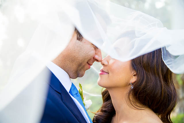 Bride and groom kissing in san Ysidro Ranch lavender field.