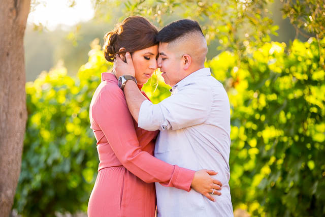 Engaged couple posing for engagement photos in a vineyard.