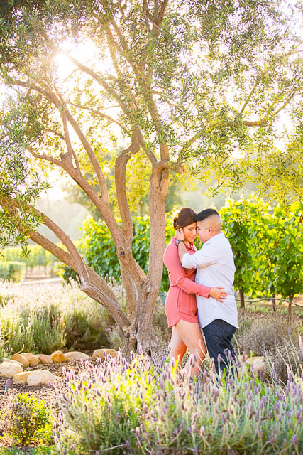 Vineyard engagement photos in Santa Barbara, CA.