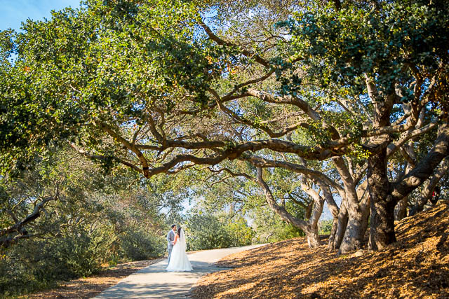 Romantic photos of the bride and groom after their Elings Park wedding.