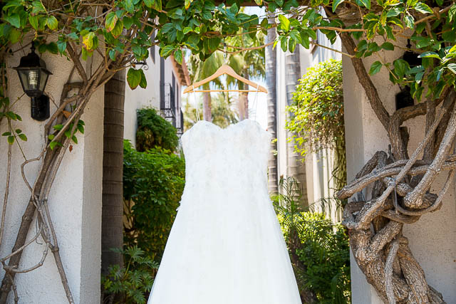 Wedding details for Elings Park Santa Barbara wedding.