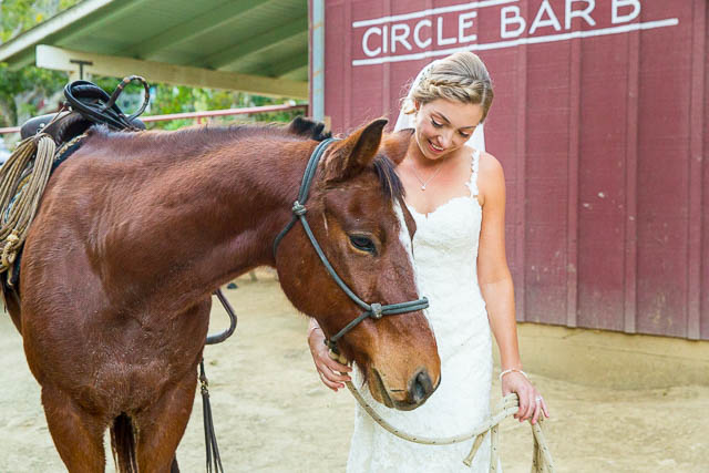 Bride and groom photos with horses at Circle Bar B Ranch wedding in Goleta, California.