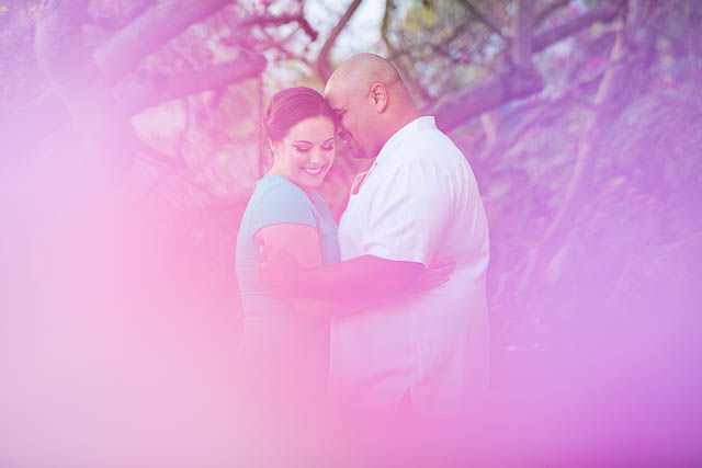 Newly engaged couple posing for their engagement photos at the Santa Barbara County Courthouse in Santa Barbara, CA.