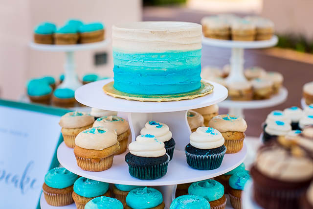 Crushcakes cupcakes and cake for the Fess Parker wedding.