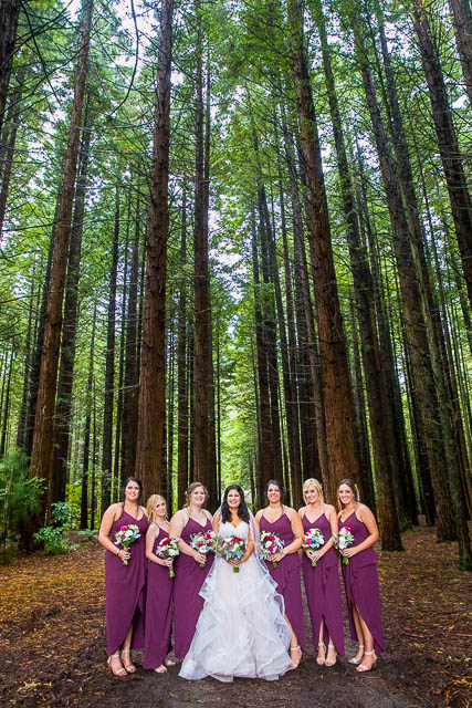 The bride with her bridesmaids at her Rotorua Redwoods in New Zealand wedding.