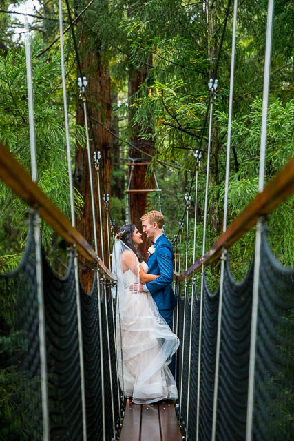 The bride and groom hugging on a bride at the Rotorua Redwoods Treewalk.