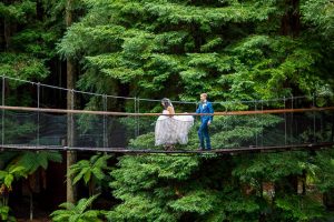 Bride and groom walking acorss Redwoods Treewalk bridge in the Redwoods Forest during their Rotorua New Zealand wedding day.