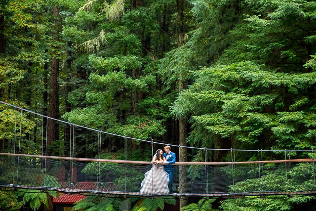Bride and groom walking acorss Redwoods Treewalk bridge in the Redwoods Forest during their Rotorua New Zealand wedding day.