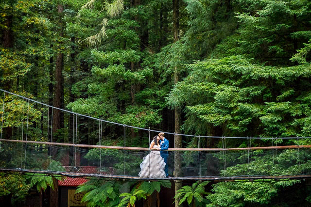 Bride and groom walking acorss Redwoods Treewalk bridge in the Redwoods Forest during their Rotorua New Zealand wedding day.