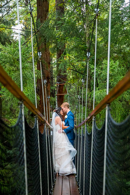 The bride and groom hugging on a bride at the Rotorua Redwoods Treewalk.