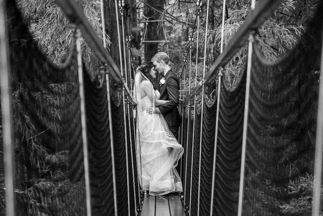 The bride and groom hugging on a bride at the Rotorua Redwoods Treewalk.