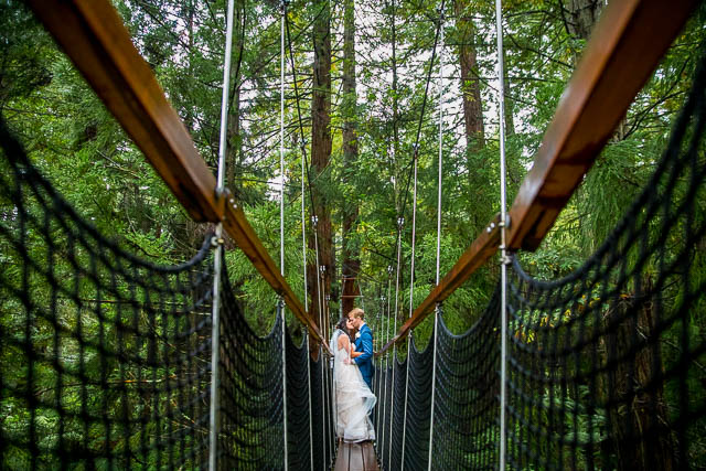 The bride and groom hugging on a bride at the Rotorua Redwoods Treewalk.