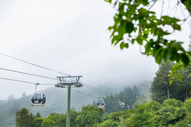 Gondolas at the Skyline Rotorua.