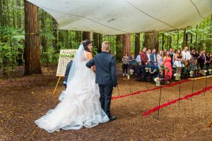 Rotorua Redwoods Forest Under the Sails wedding ceremony.