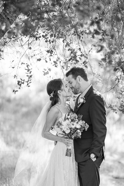 Bride and groom portraits at the Ojai wedding.