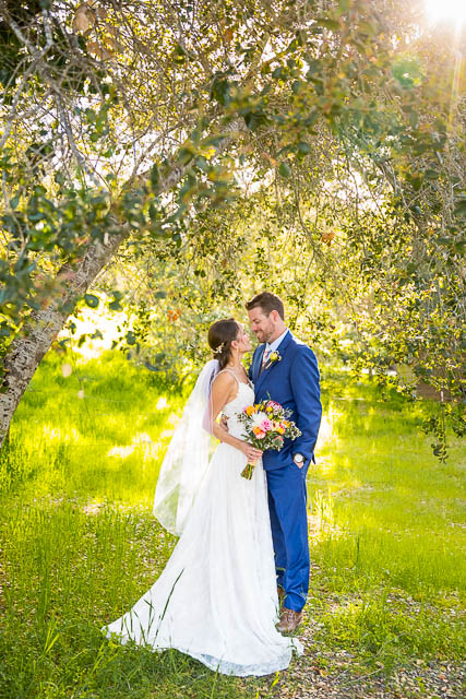 Bride and groom portraits at the Ojai wedding.