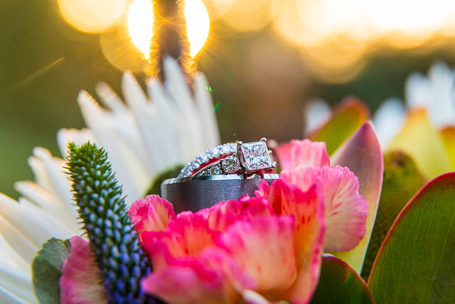 Wedding rings glimmering in the sunshine on top of the wildflower bouquet in Ojai, California.