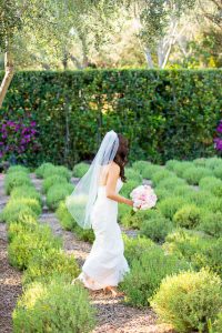 Bride wearing a veil at San Ysidro Ranch lavender field..