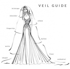 Wedding veil guide, depicting different styles and lengths of veils.
