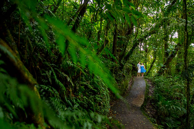 Creative and adventurous engagement photos in Monteverde, Costa Rica. 