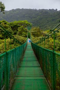 Adventurous engagement photos in Monteverde, Costa Rica.