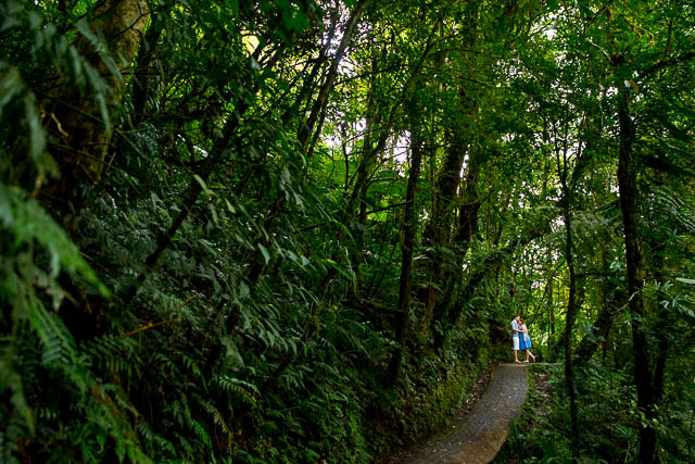 Creative and adventurous engagement photos in the Monteverde cloud forest, Costa Rica. 