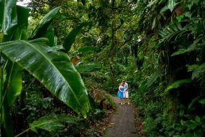 Engaged couple wandering in the Costa Rican cloud forest during their engagement photoshoot.