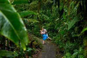 Engaged couple wandering in the Costa Rican cloud forest during their engagement photoshoot.