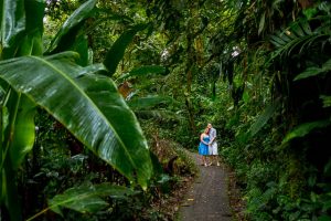 Engaged couple wandering in the Costa Rican cloud forest during their engagement photoshoot.