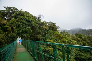 Couple walking across the hanging bridges in the rain cloud forest of Selvatura Park in Monteverde, Costa Rica.